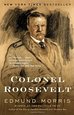 cover for Colonel Roosevelt by Edmund Morris