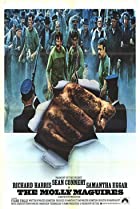 cover for The Molly Maguires, a film directed by Martin Ritt